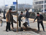 市城投集團(tuán)公司積極組織參加全市義務(wù)植樹活動